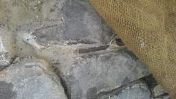 acastle
                          112025.jpg